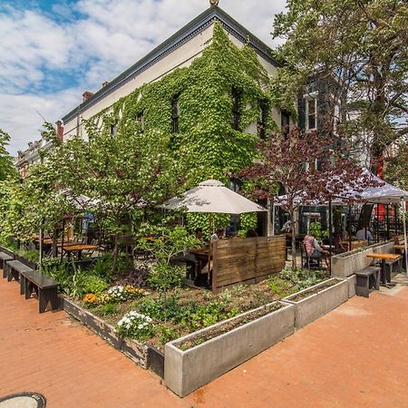 Stylish Renovated Flat, Central, Walk To Dc Sights Washington Luaran gambar